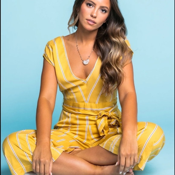 BB Dakota Sunset Striped Jumsuit - Picture 13 of 13